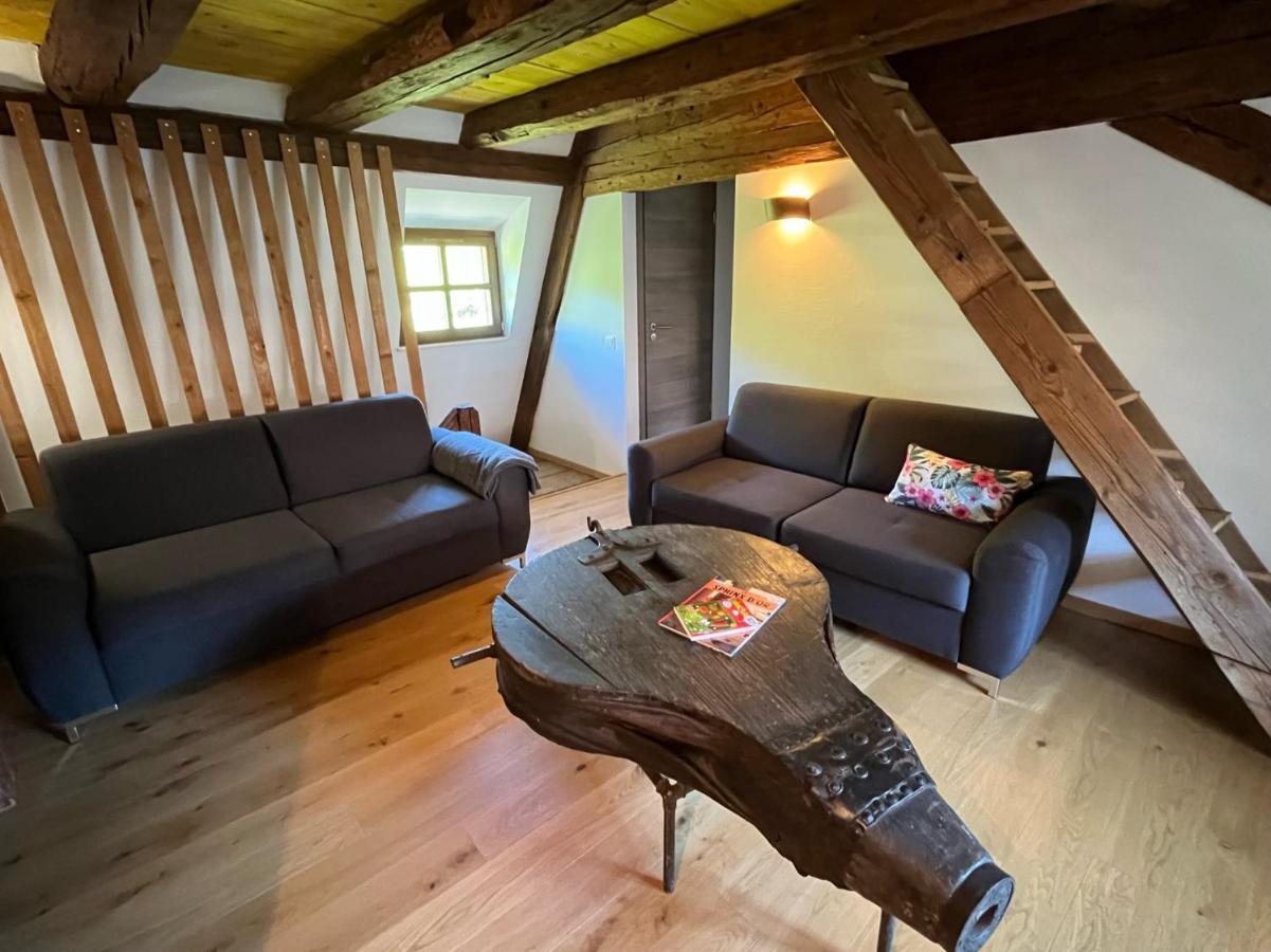 Domaine La Cour Des Nobles - Demeure, Maison Et Appartements Au Coeur De Riquewihr Exteriör bild