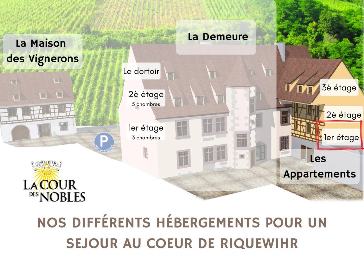 Domaine La Cour Des Nobles - Demeure, Maison Et Appartements Au Coeur De Riquewihr Exteriör bild