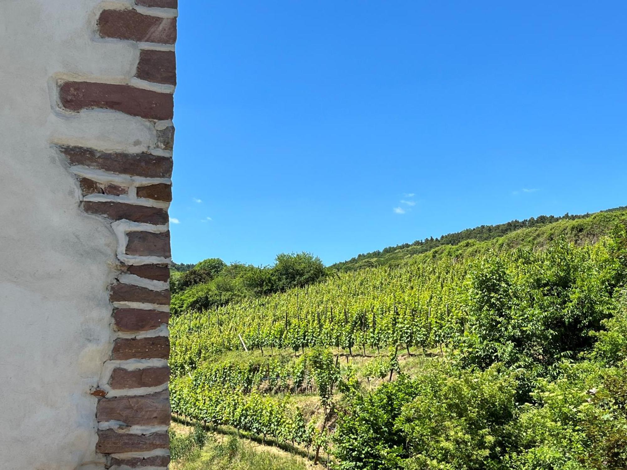 Domaine La Cour Des Nobles - Demeure, Maison Et Appartements Au Coeur De Riquewihr Exteriör bild